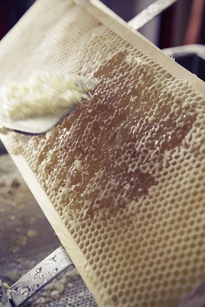 Colheita de mel biológico — Fotografia de Stock