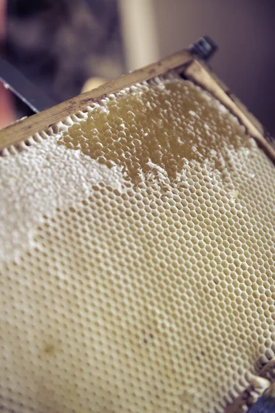 Colheita de mel biológico — Fotografia de Stock