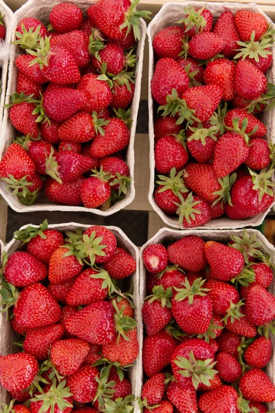 Mercado de los agricultores de fresas biológicas —  Fotos de Stock