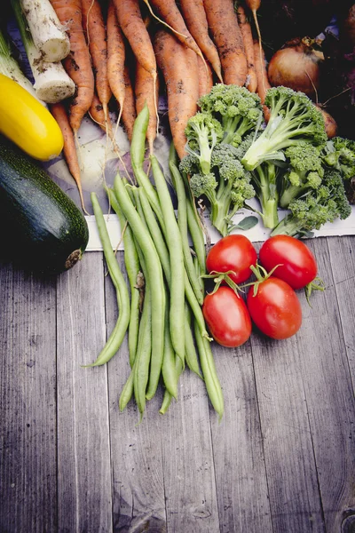 Huerta urbana cosecha de hortalizas — Foto de Stock