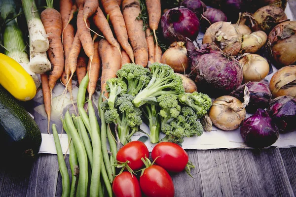 Jardinage urbain récolte de légumes — Photo