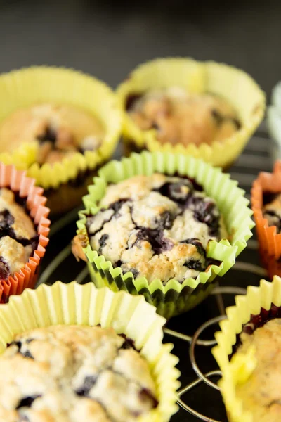 Zelfgemaakte muffins — Stockfoto