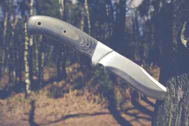 büyük açık bıçak ağaca Yükseliyor