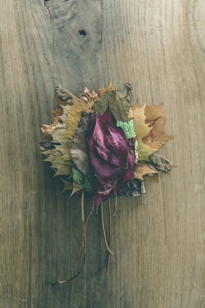 Pile de feuilles d'automne colorées — Photo