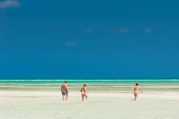 Tropisch strand — Stockfoto