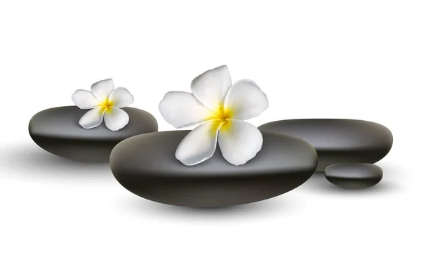 Frangipani Met Spa Steen Witte Achtergrond Vector Illustratie — Stockvector