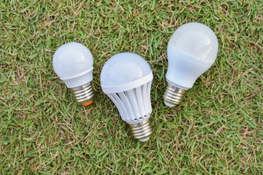 LED ampul - yeşil çimenlerin üzerinde