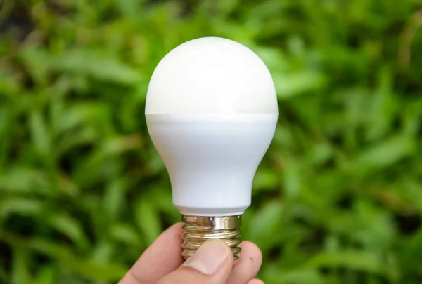 LED-Lampe mit Beleuchtung - sparsame Technologie — Stockfoto