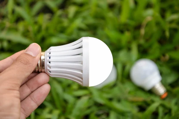 Izzó LED világítás - energiatakarékos technológia — Stock Fotó