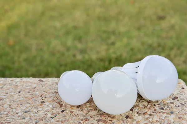 LED Bulbs - on the concrete with green grass background