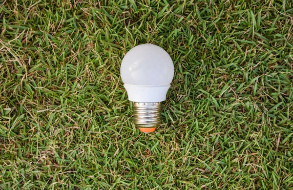LED ampul - yeşil çimenlerin üzerinde — Stok fotoğraf
