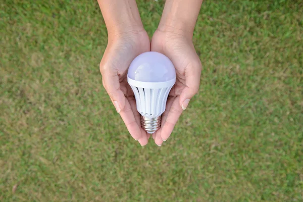 LED izzó - takarékos technológia, kézi — Stock Fotó