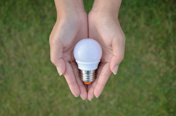 Mini-LED-Glühbirne - Spartechnologie in der Hand — Stockfoto