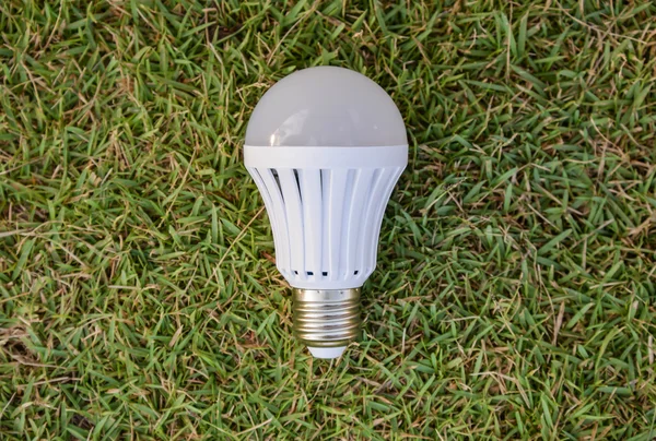 LED ampul - yeşil çimenlerin üzerinde — Stok fotoğraf