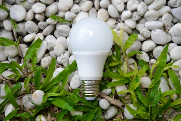 Светодиодная лампа - Энергия и зеленая природа — стоковое фото