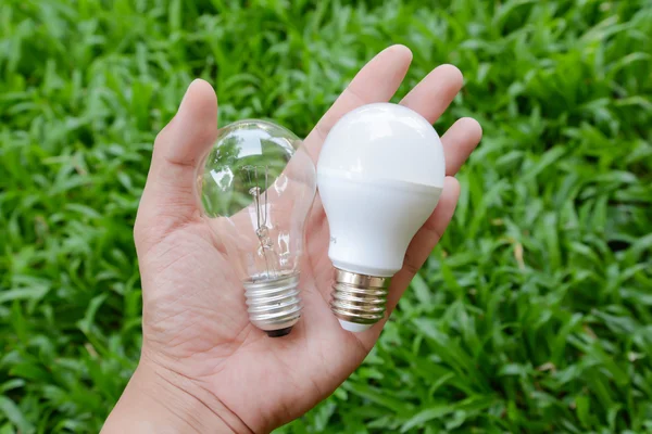 LED-Lampe und Glühbirne - Wahl der Energie — Stockfoto