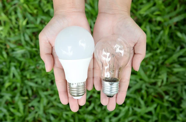 LED- und Glühbirnen - Wahl der Energie — Stockfoto