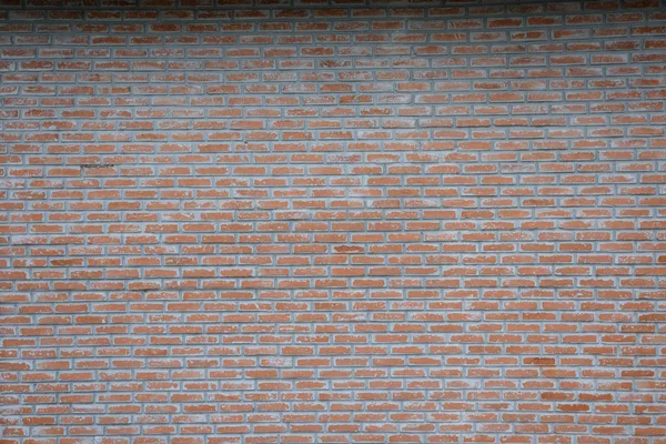 Текстура кирпичной стены - Фон — стоковое фото