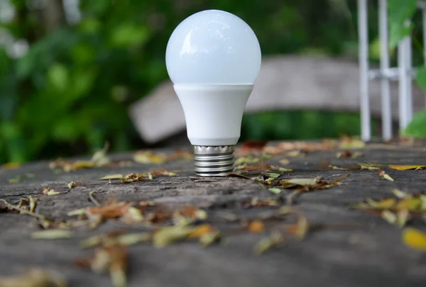 LED izzó - technológia a környezetbarát világítás — Stock Fotó