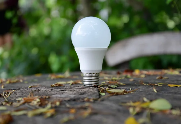 LED izzó - technológia a környezetbarát világítás — Stock Fotó