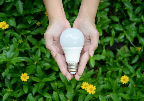 LED Bulb - technologie van eco-vriendelijke verlichting — Stockfoto