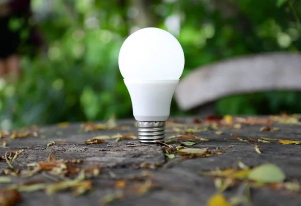 LED žárovka s osvětlením - technologie eko šetrné osvětlení — Stock fotografie