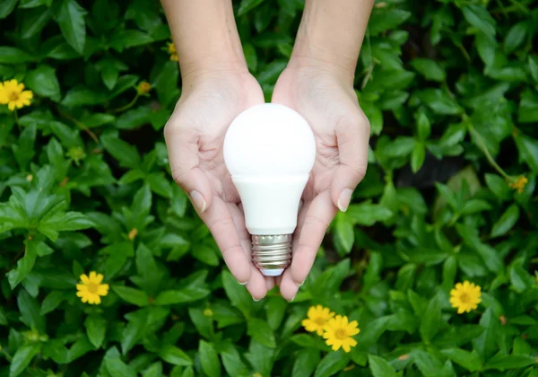 LED Bulb with lighting - Technology of eco-friendly lighting — Stock Photo, Image