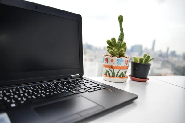 Особистий ноутбук з кактусом — стокове фото