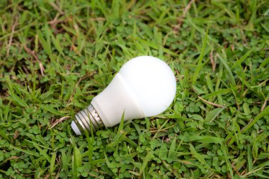 Aydınlatma-Aydınlatma Technol ile LED ampul