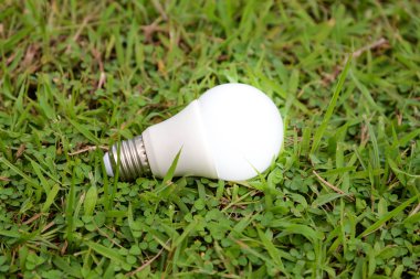 Aydınlatma-Aydınlatma Technol ile LED ampul