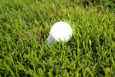 Aydınlatma-Aydınlatma Technol ile LED ampul