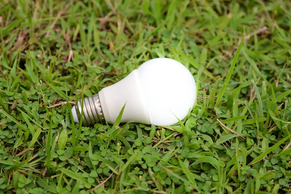 Aydınlatma-Aydınlatma Technol ile LED ampul