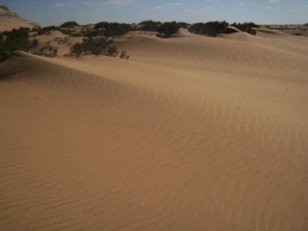 África Sahara Desierto Bajo Luz Del Sol Rastro Serpiente Marruecos — Foto de Stock