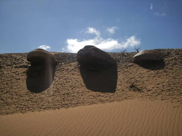 África Sahara Desierto Bajo Luz Del Sol Rastro Serpiente Marruecos —  Fotos de Stock