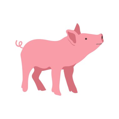 Domuz vektör el çizimi düz çizgi film tarzında. Beyaz arkaplanda izole.