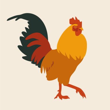 Renkli horoz, vektör elli düz çizim.