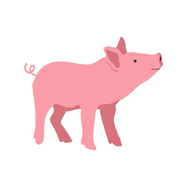 Pig Vector Hand Drawn Illustration Cartoon Flat Style 배경에 고립됨 — 스톡 벡터