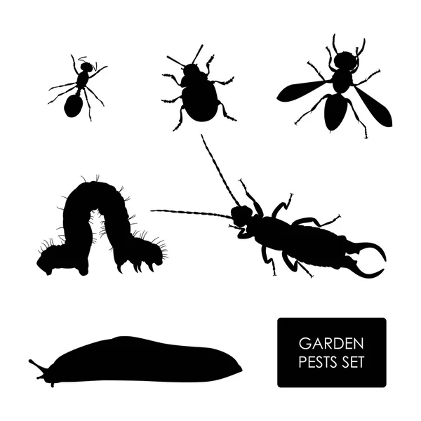 Set di parassiti da giardino su sfondo bianco. Silhouette di insetti — Vettoriale Stock