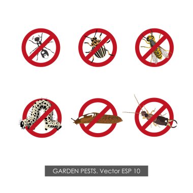 Pest control. Set of prohibition signs on white background clipart