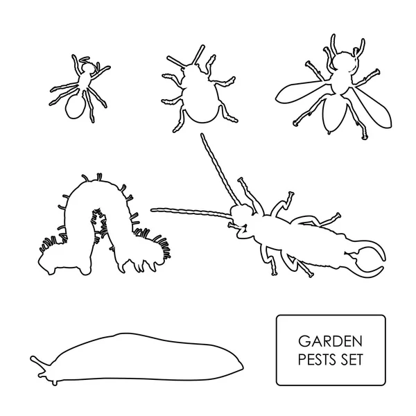 Conjunto de plagas de jardín sobre un fondo blanco. Esquema de insectos — Vector de stock