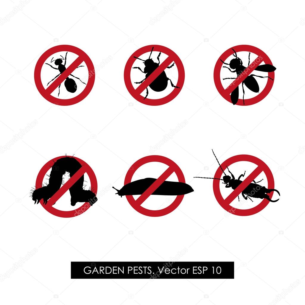 Pest control. Set of prohibition signs on white background