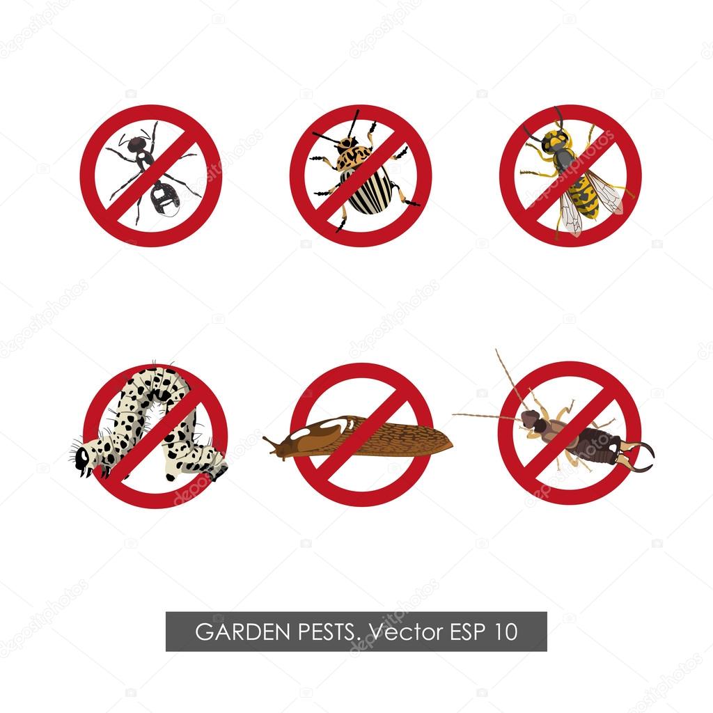 Pest control. Set of prohibition signs on white background