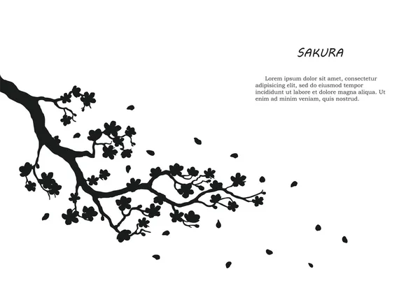 Silhueta preta de sakura em um fundo branco —  Vetores de Stock