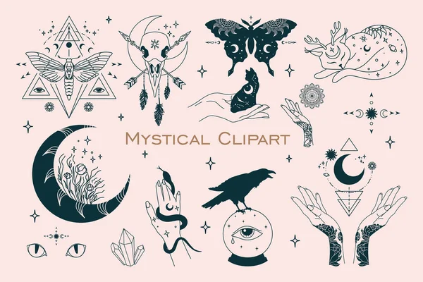 98 Luna Moth Vector Images Luna Moth Illustrations Depositphotos 98 Luna Moth Vector Images Luna Moth Illustrations Depositphotos