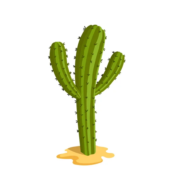 Cartoon cactus. Geïsoleerde Mexicaanse plant. Groen sappig pictogram. Natuur van Mexico — Stockvector