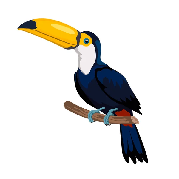 Isolé icône toucan dessin animé. Oiseau forestier mexicain. Clipart de couleur. Caractère jungle — Image vectorielle