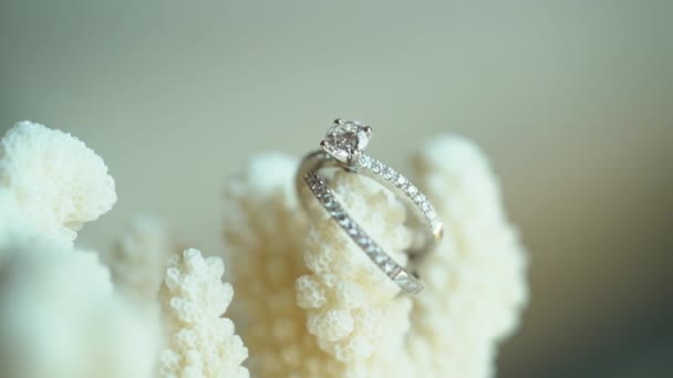 En ring med en diamant — Stockvideo