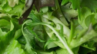 Çeri domatesi yeşilliğe dökülüyor.