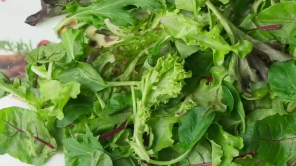 Zöldség és saláta esik az asztalra — Stock videók