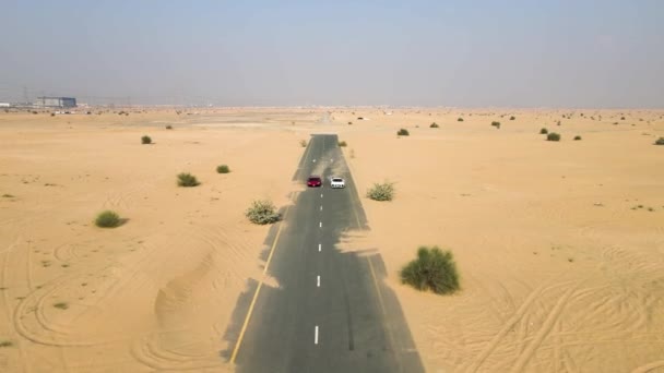 Deserto esporte carro corridas — Vídeo de Stock